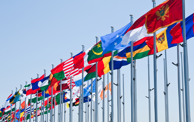 The Future Beyond the Clamor: Osaka Expo—184 Days of Light and Shadow