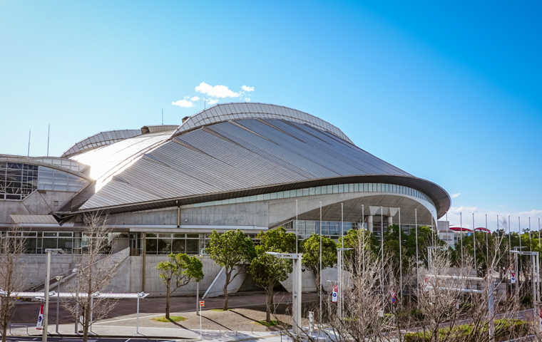 TGS 2025 Concludes: 260,000 On-Site Fans and 6 Million Online Viewers