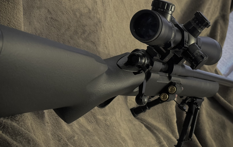 Police to Use Rifles to Cull Bears: Japan’s New “Human vs. Beast” Strategy