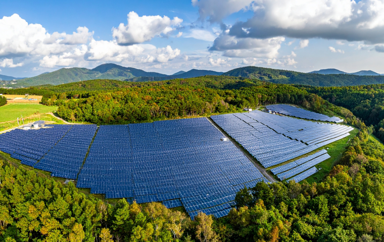 Concerns Over Environmental Destruction: Government to End Support for Mega Solar Projects from FY2027